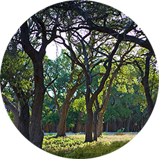 Fronterra at Westpointe Location